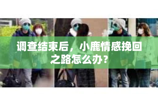 调查结束后，小鹿情感挽回之路怎么办？
