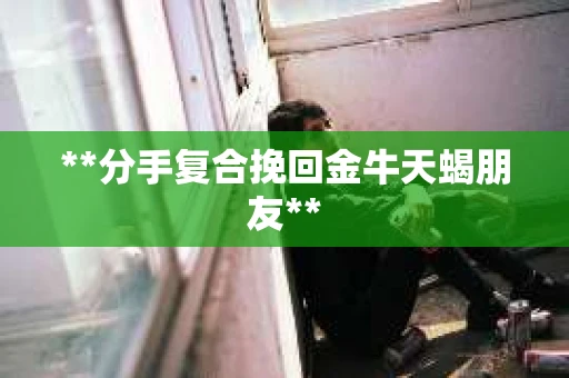 **分手复合挽回金牛天蝎朋友**