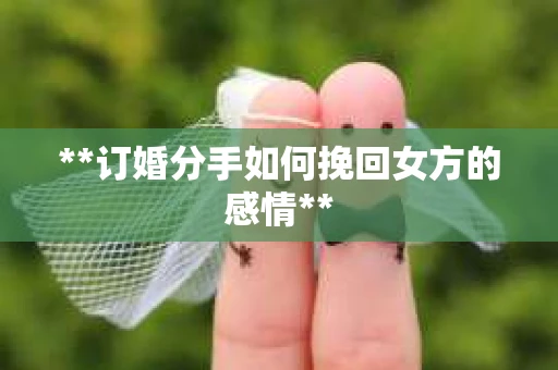 **订婚分手如何挽回女方的感情**