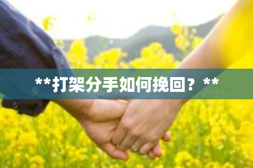 **打架分手如何挽回？**
