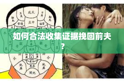 如何合法收集证据挽回前夫？