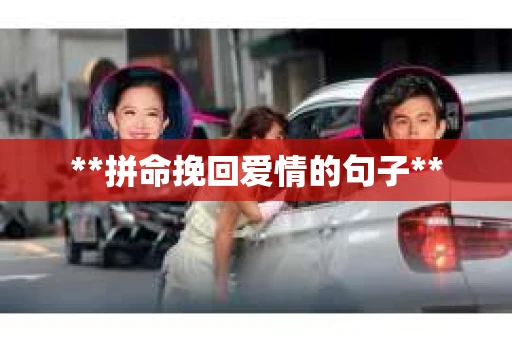 **拼命挽回爱情的句子**
