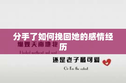 分手了如何挽回她的感情经历