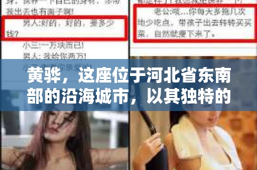 黄骅，这座位于河北省东南部的沿海城市，以其独特的地理位置和丰富的历史文化而闻名。然而，在这座城市中，还有一群人，他们以另一种方式默默守护着社会的公平与正义——私家侦探。今天，我们就来聊聊黄骅的私家侦探，看看他们是如何在这个城市中发挥作用的。