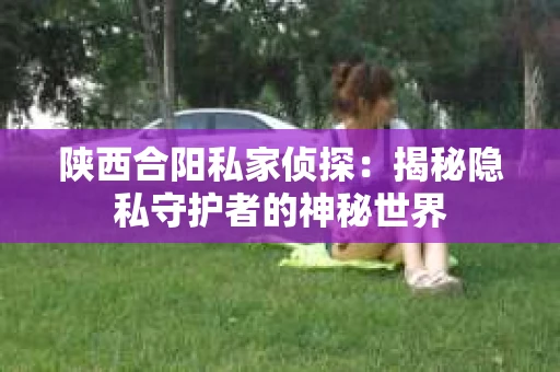陕西合阳私家侦探：揭秘隐私守护者的神秘世界