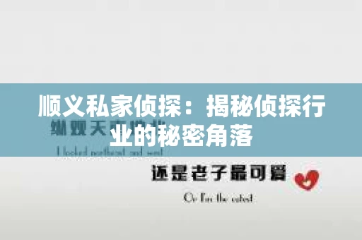顺义私家侦探：揭秘侦探行业的秘密角落