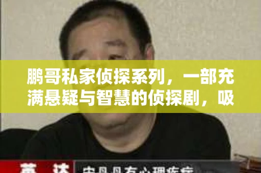 鹏哥私家侦探系列，一部充满悬疑与智慧的侦探剧，吸引了无数观众的眼球。今天，就让我带你走进这个充满神秘色彩的侦探世界，一起在线观看鹏哥私家侦探系列，感受那扣人心弦的故事情节。