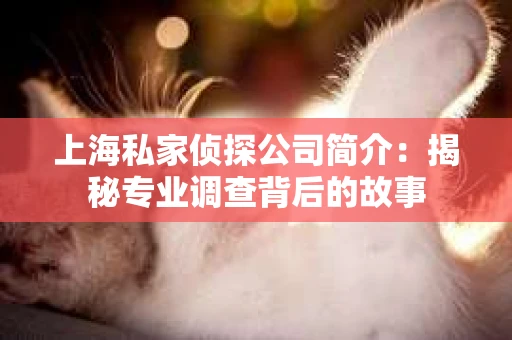 上海私家侦探公司简介：揭秘专业调查背后的故事