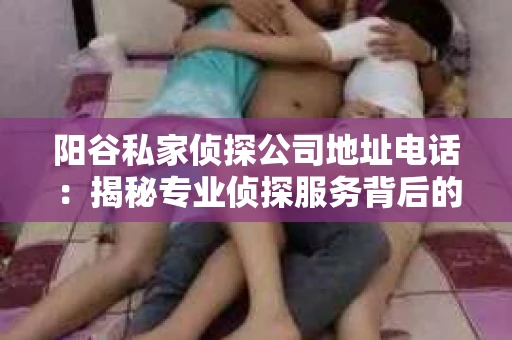 阳谷私家侦探公司地址电话：揭秘专业侦探服务背后的故事