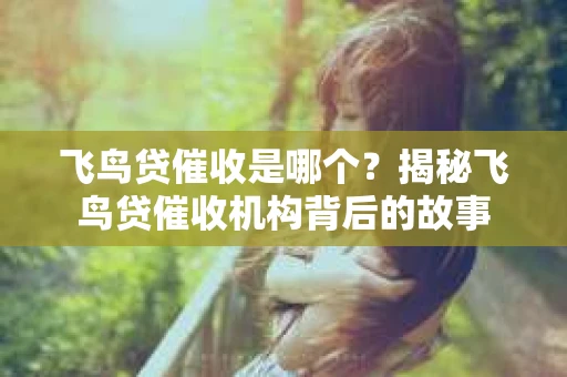 飞鸟贷催收是哪个？揭秘飞鸟贷催收机构背后的故事
