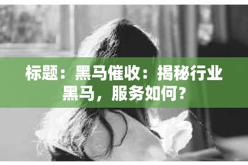 标题：黑马催收：揭秘行业黑马，服务如何？