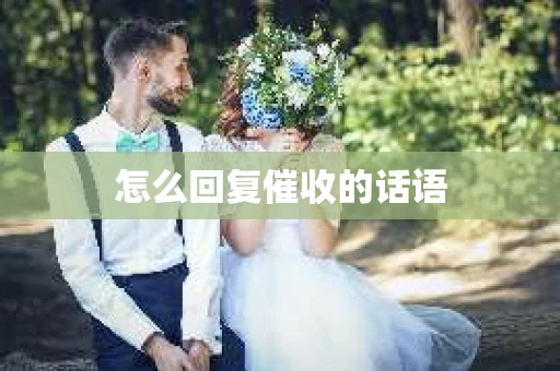 怎么回复催收的话语