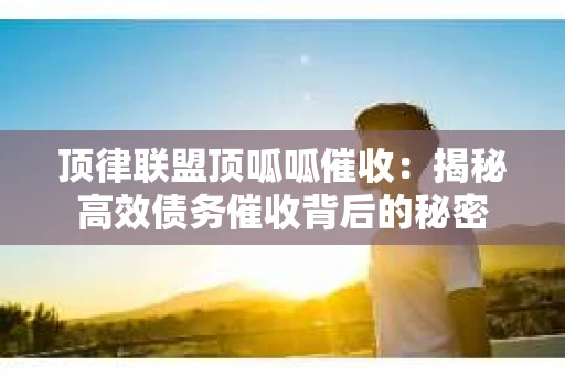 顶律联盟顶呱呱催收：揭秘高效债务催收背后的秘密