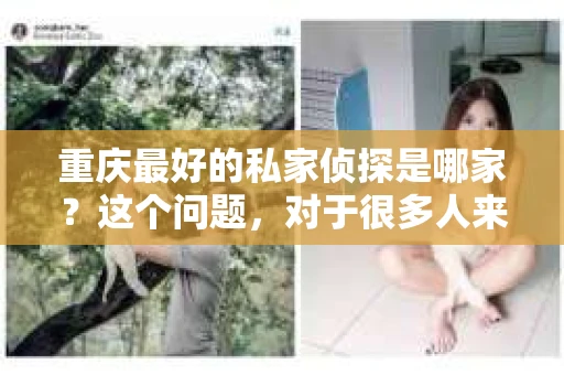 重庆最好的私家侦探是哪家？这个问题，对于很多人来说，可能是一个出于无奈的选择。在这个快节奏的社会，有些人可能因为婚姻、家庭、工作等原因，需要寻求私家侦探的帮助。那么，在重庆，哪家私家侦探是众人眼中的佼佼者呢？今天，我就来和大家聊聊这个话题。