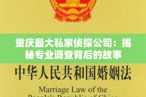 重庆最大私家侦探公司：揭秘专业调查背后的故事