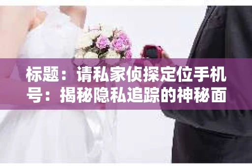 标题：请私家侦探定位手机号：揭秘隐私追踪的神秘面纱