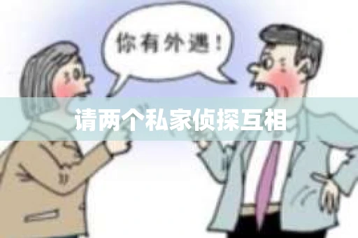 请两个私家侦探互相