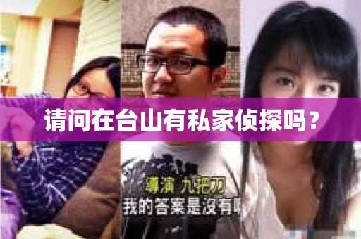 请问在台山有私家侦探吗？