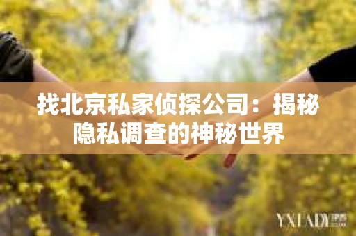 找北京私家侦探公司：揭秘隐私调查的神秘世界
