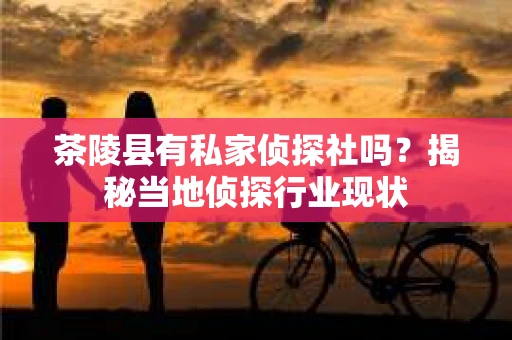 茶陵县有私家侦探社吗？揭秘当地侦探行业现状