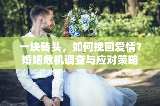 一块砖头,如何挽回爱情?婚姻危机调查与应对策略 一块砖头,如何挽回爱情?婚姻危机调查与应对策略