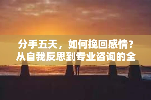 分手五天，如何挽回感情？从自我反思到专业咨询的全面解决方案