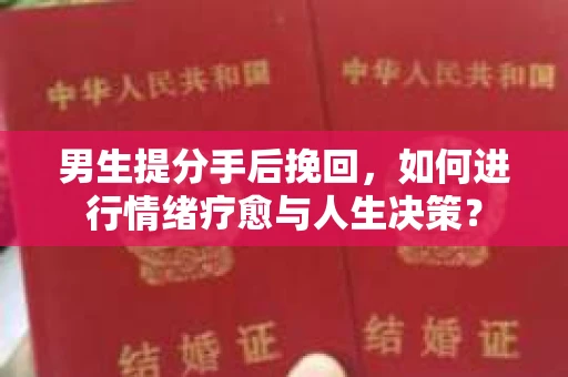 男生提分手后挽回，如何进行情绪疗愈与人生决策？