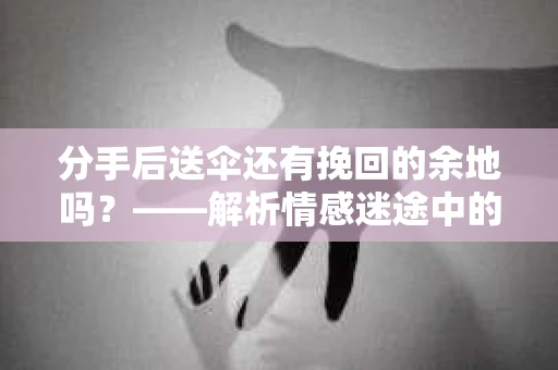分手后送伞还有挽回的余地吗？——解析情感迷途中的决策
