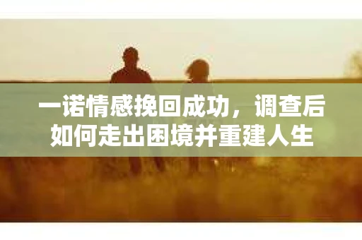 一诺情感挽回成功，调查后如何走出困境并重建人生