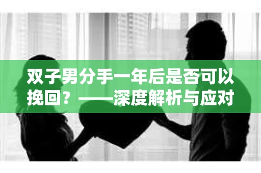 双子男分手一年后是否可以挽回？——深度解析与应对策略