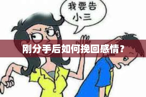 刚分手后如何挽回感情？